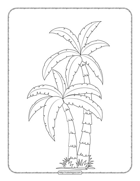 printable palm tree coloring page printable template