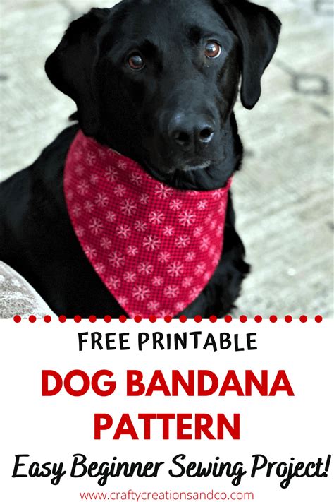Printable Pattern For Dog Bandanas