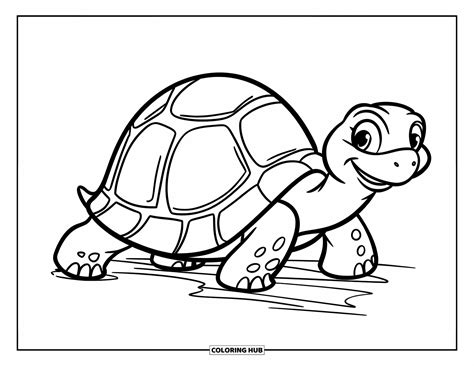 Printable Pictures Of A Bumpy Shell Tortoise