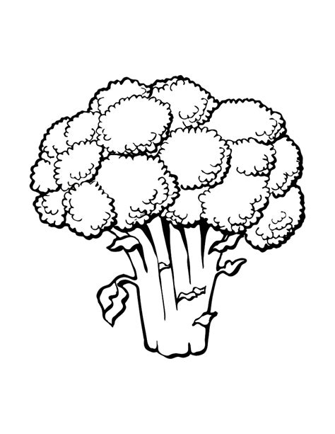 Printable Pictures Of Broccoli