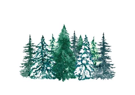 Printable Pictures Of Evergreen Forest