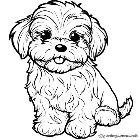 Printable Pictures Of Maltese