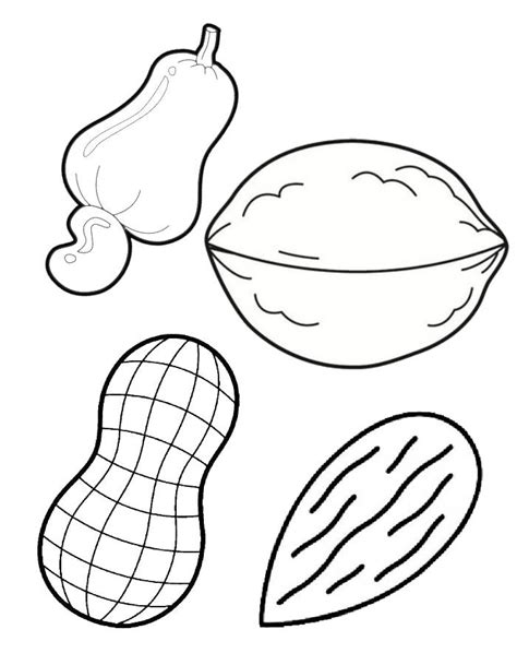 Printable Pictures Of Nuts
