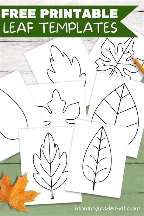Printable Preschool Leaf Pattern