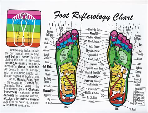 Printable Reflexology Of Foot Map