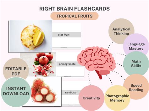 Printable Right Brain Flashcards