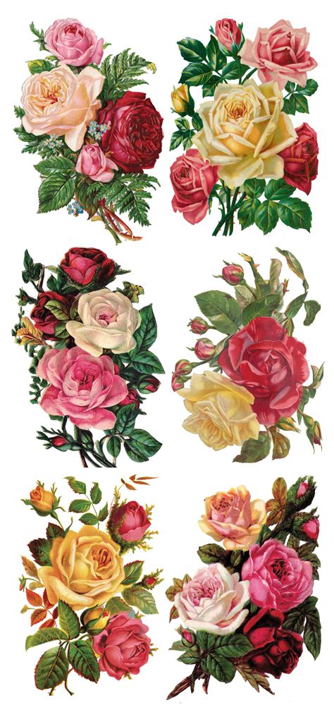 Printable Roses For Decoupage