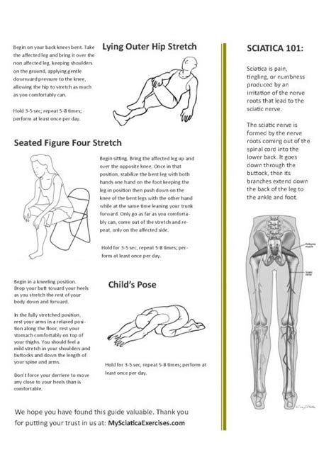 Printable Sciatica Stretches And Exercise Pdf From My Sciatica Exercises