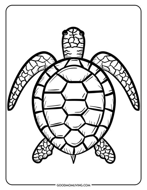 Printable Sea Turtle Image