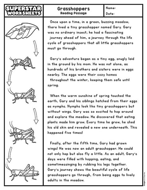 Printable Second Grade Fictional Reading Passages