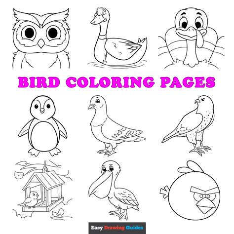 Printable Sheets Basic Birds