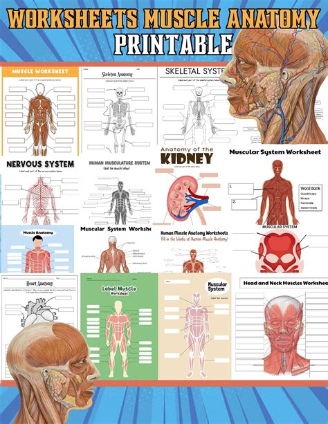 Printable Small Muscle Development Activities