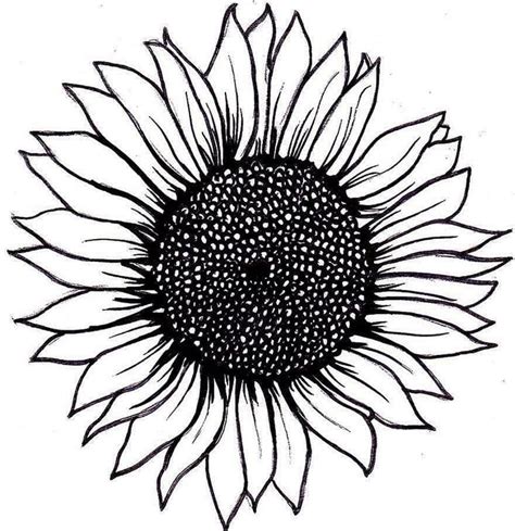 Creating A Stunning Sunflower Outline With Printable Stencils