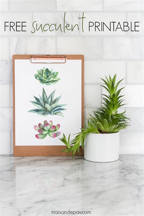 Printable Succulent Art