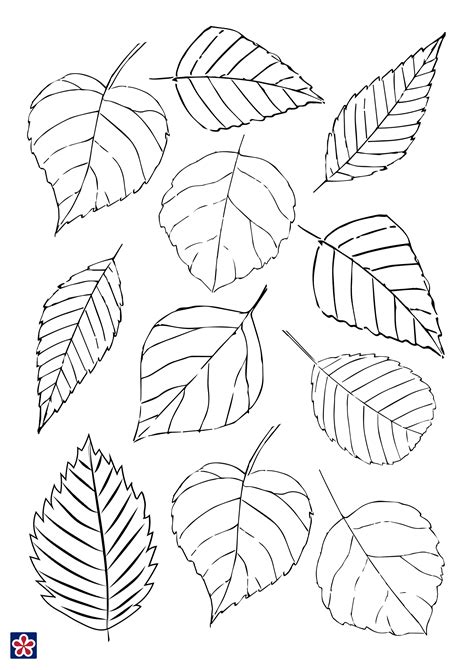 Printable Tree With Leaves
