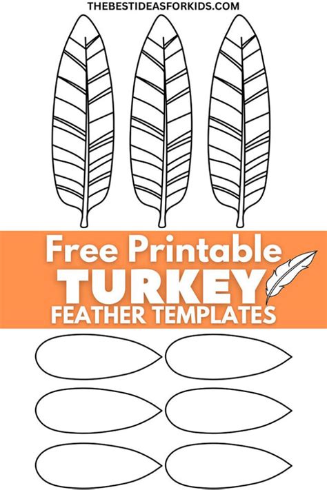 Printable Turkey Feather Outline