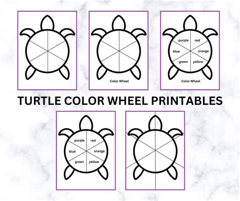 Printable Turtle With Color