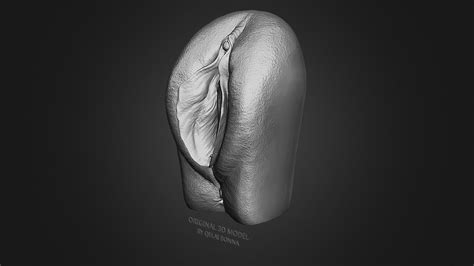 Printable Vagina 3D Model