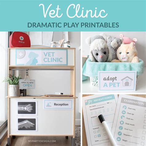 Printable Vet Dramatic Play