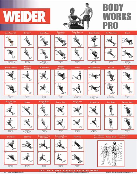 Printable Weider Ultimate Works Registration