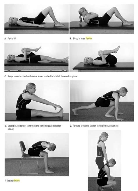 Printable Williams Back Exercises