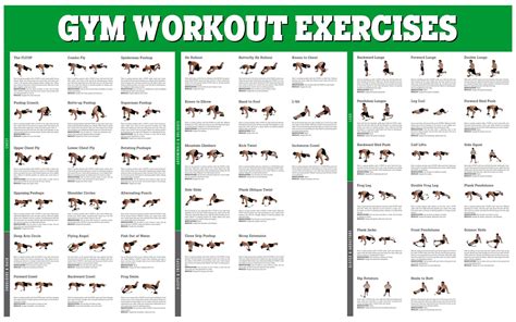 Printable Workouts For Gym