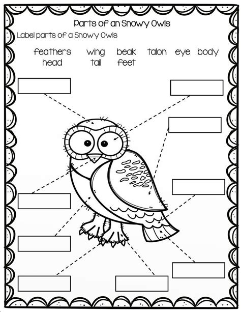 Printable Worksheets About Owls