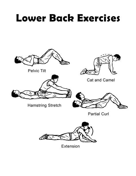 printable lower back strengthening exercises