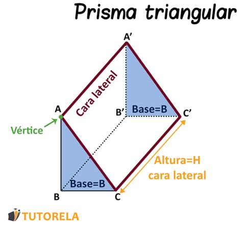 Red de un prisma regular de base triangular Aprendo en Línea