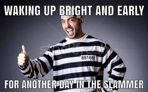 50+ Jail Memes and Prison Memes Reviewed [2020 Edition] Healing Law