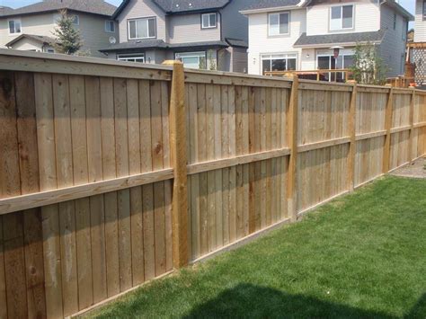 privacy backyard fence