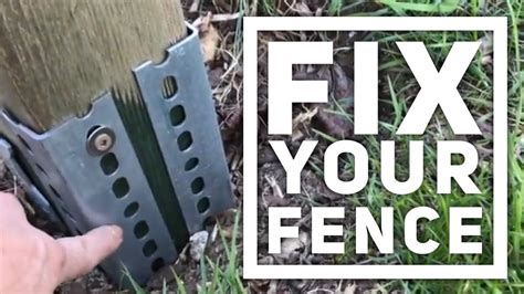 Privacy Fence Quick Fix