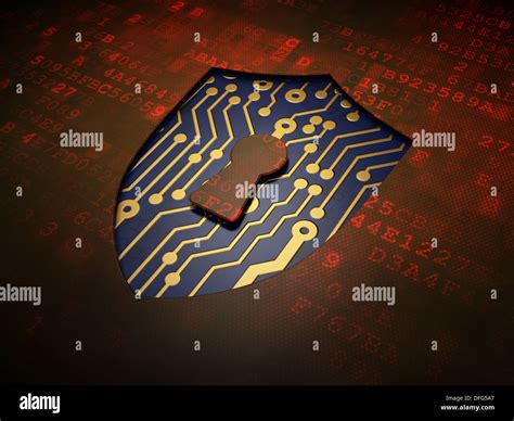 Privacy Shield Concept