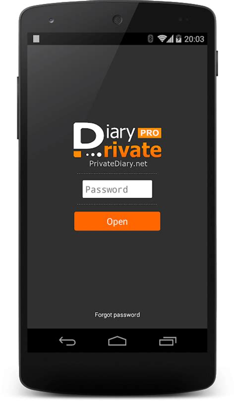 private   amandas diary 2