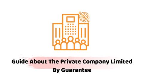 private company limited by guarantee accounts