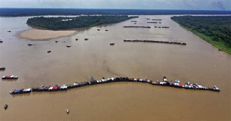 private gold amazonas