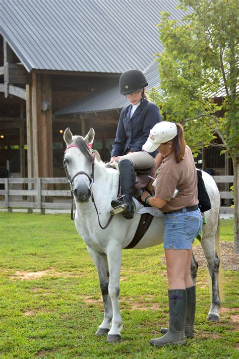 private horse riding lessons