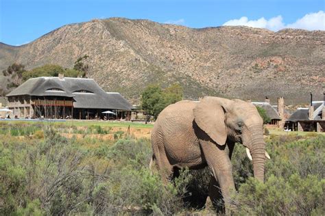 private safaris cape town