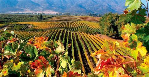 private wine tours from santiago chile