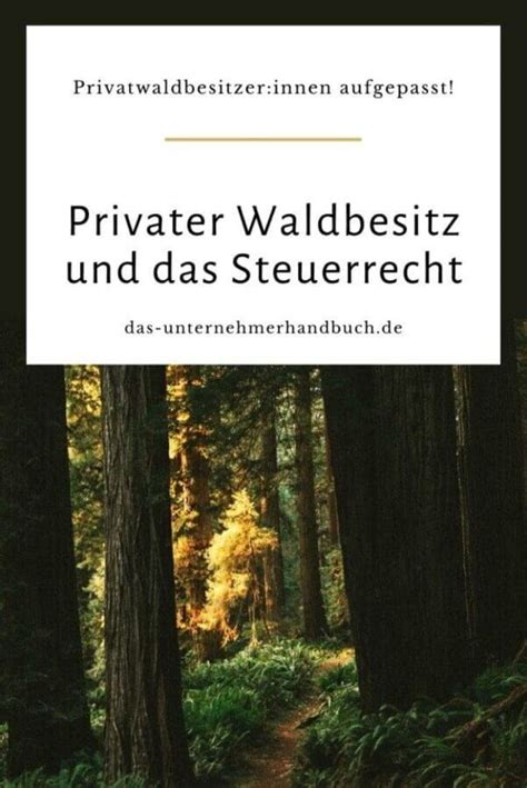 Privater Waldbesitz und das Steuerrecht