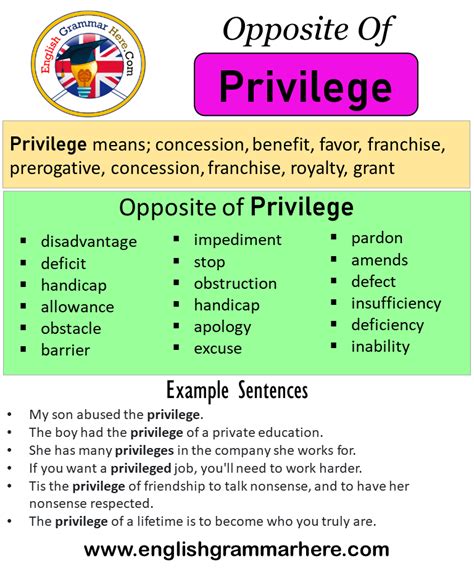 privilege meaning in english with example