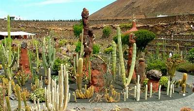 Prix Entree Jardin Cactus Lanzarote
