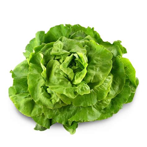 prix d'une salade verte