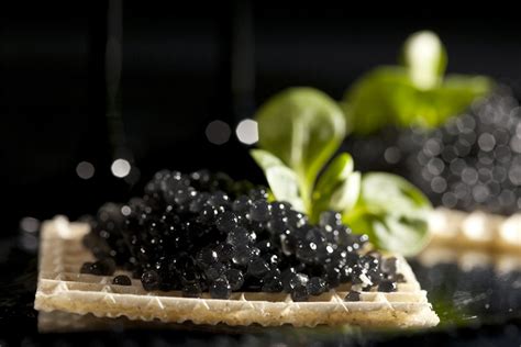 prix du caviar en france
