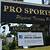 pro sports physical therapy huntington