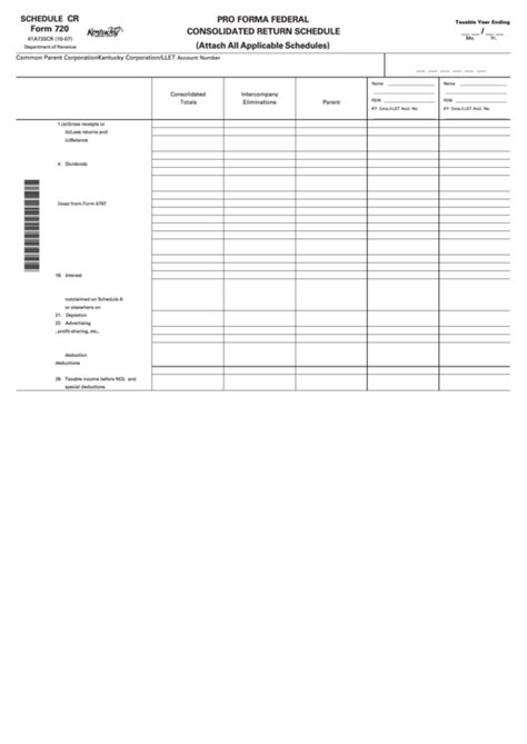 pro forma federal tax return