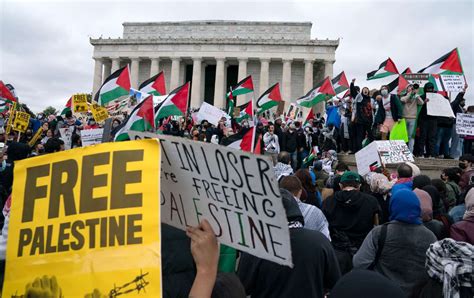 pro palestine in us