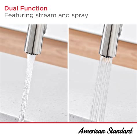 Pro Spray Kitchen Faucet