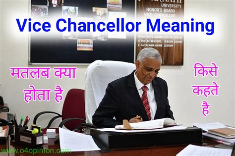 pro vice chancellor meaning in hindi