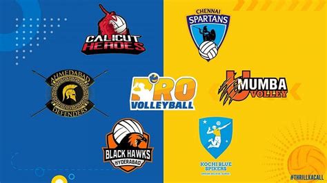 pro volleyball league teams